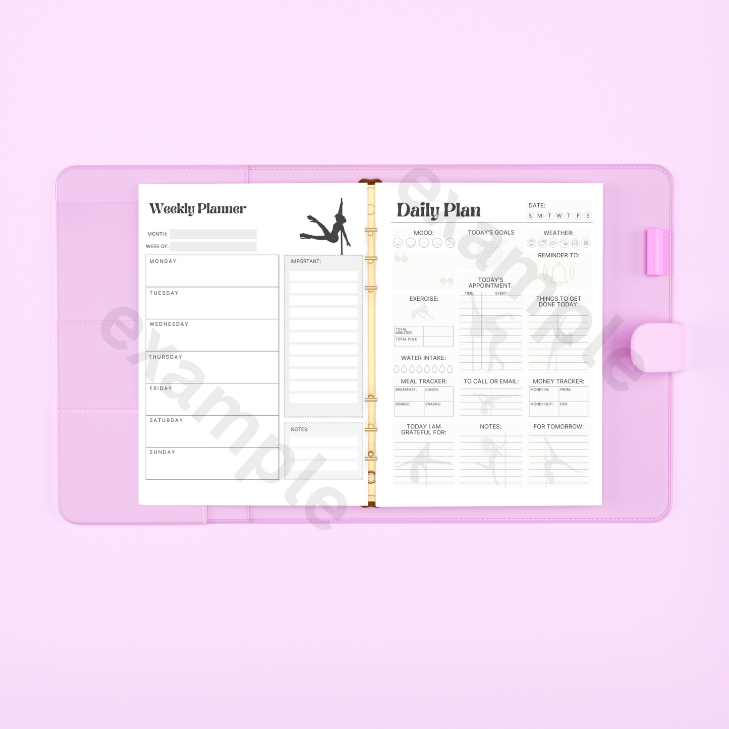 Ultimate Pole Dance Fitness Instructor Planner Printer Printable Version Pole Book